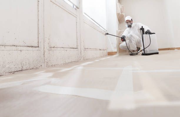 24/7 Emergency Basement Mold Remediation experts in Acton, MA